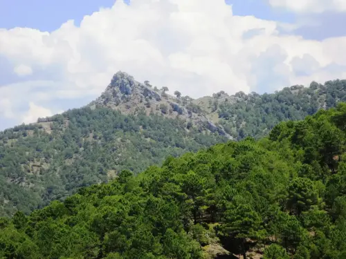 Pico-de-Los-Esparteros-Bienservida3