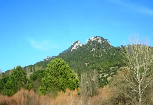 Picos-del-Oso-Molinicos10