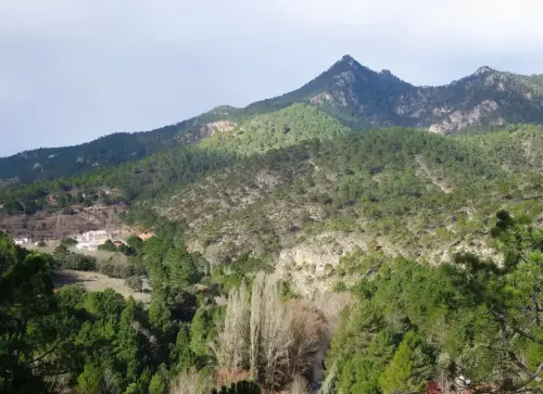 Picos-del-Oso-Molinicos3