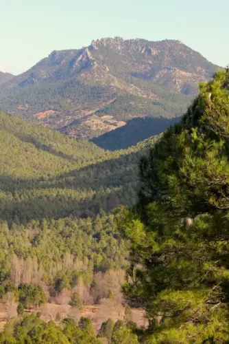 Picos-del-Oso-Molinicos6