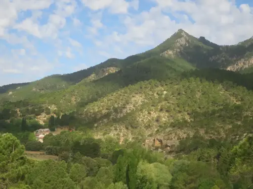 Picos-del-oso-Mesones-Molinicos