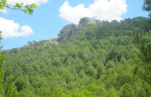 Piedra-de-La-Tejera-Paterna