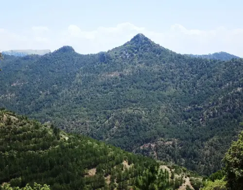 Piedra-de-la-Tejera-Bienservida