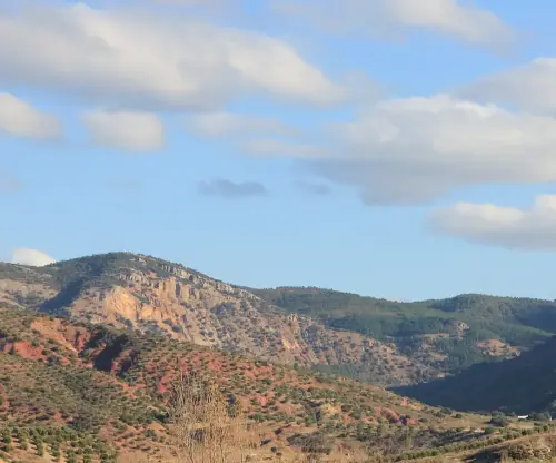 Piedra-de-las-Abejas-SalobreVillapalacios3