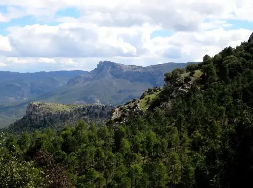 Puntal-de-Rodas-Yeste