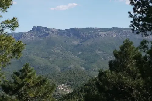 Puntal-de-Rodas-Yeste2