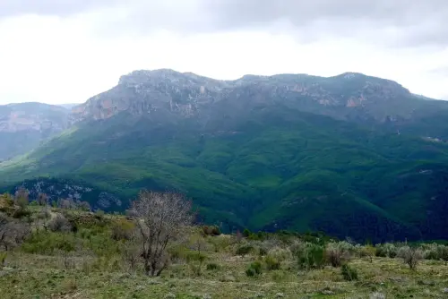 Puntal-de-Rodas-Yeste3