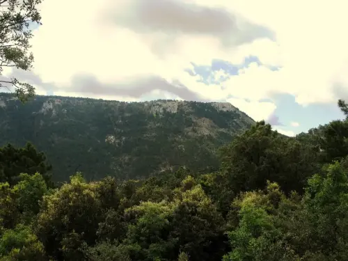 Puntal-del-Cujon-Molinicos2