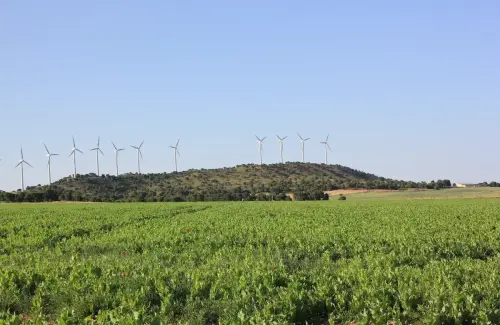 Sa-de-la-Encantada-Chinchilla