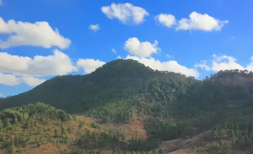 Sa-de-la-Veracruz5-Paterna-del-Madera