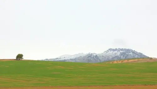 Sa-de-los-Buhos-927-Tobarra