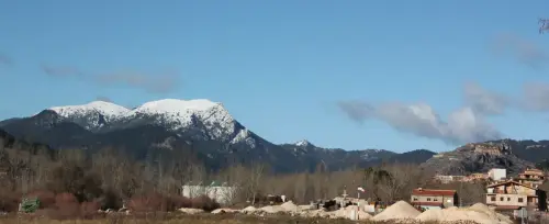 Sarga-Padron-Bienservida10