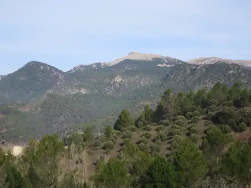 Sarga-Padron-Bienservida14