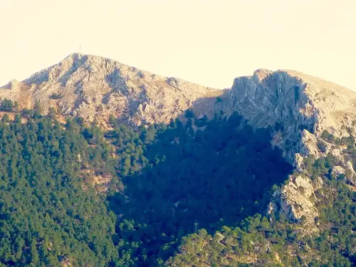 Sarga-Padron-Bienservida16