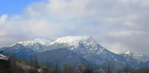 Sarga-Padron-Bienservida3