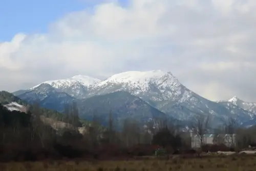 Sarga-Padron-Bienservida4