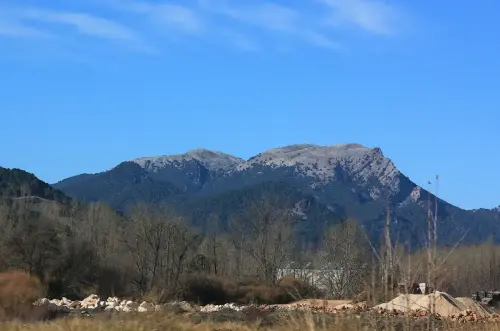 Sarga-Padron-Bienservida7