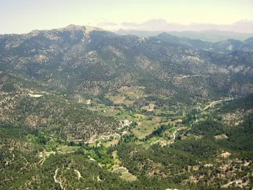 Sarga-Padron-Bienservida8