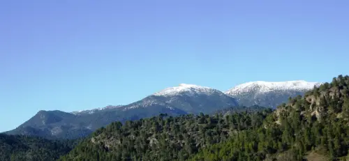 Sarga-Padron-Bienservida9