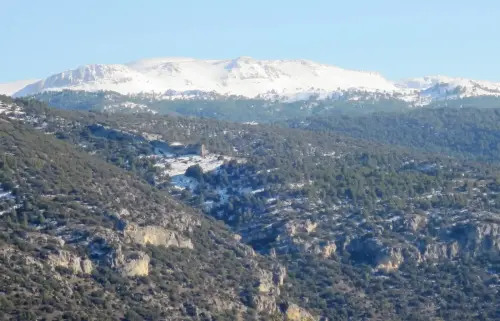 Sierra-de-Huebras-Nerpio2