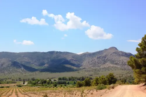 Sierra-de-Los-Donceles-Hellin2