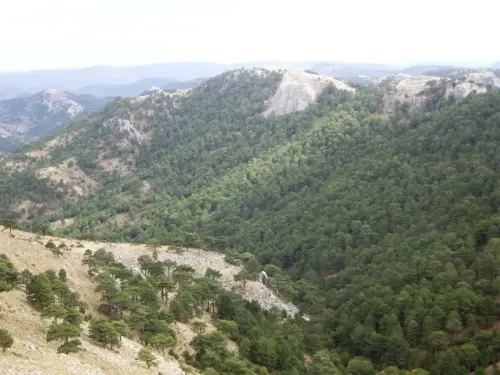 Sierra-de-Pinocano-Paterna-del-Madera