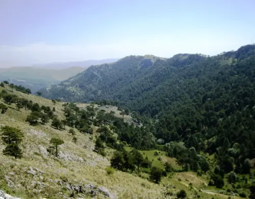 Sierra-de-Pinocano-Paterna-del-Madera2