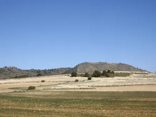 Sierra-de-los-Buhos-Tobarra