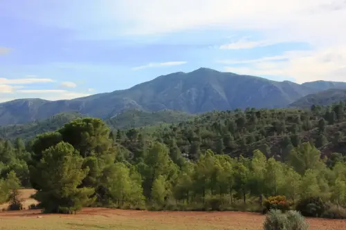 Sierra-del-Baladre.-Hellin