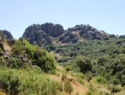 Sierra-del-Herrumblar-Villapalacios5