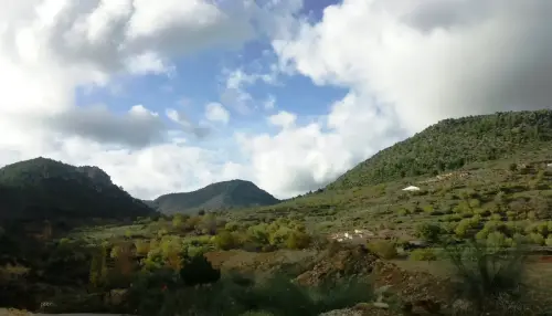 Tragoncillo-Nerpio3-Yetas