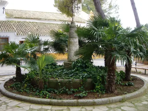 Picotas-Casas-Ibanez