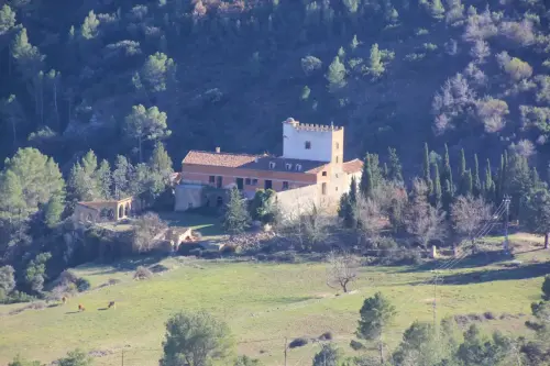 TORRES-La-Raspilla-Molinicos