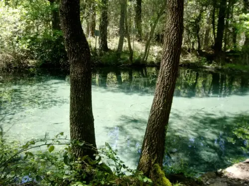 Río Mundo - Por la Charca de las Truchas
