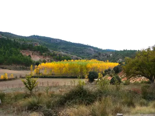 Rios003-Arroyo-de-las-Puentecillas