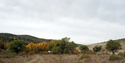 Rios004-Arroyo-de-las-Puentecillas-Arteaga-de-Arriba