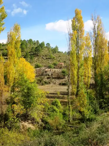 Rios006-Arroyo-de-las-Puentecillas