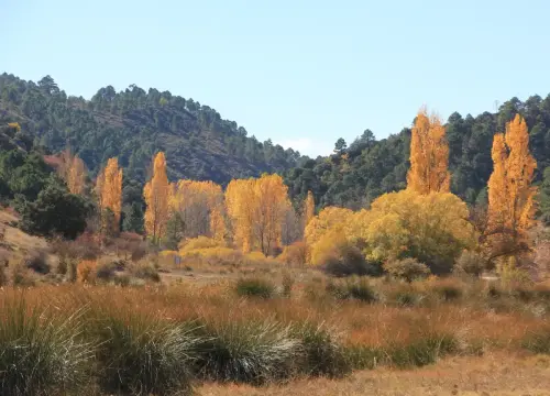 Rios007-Arroyo-de-las-Puentecillas