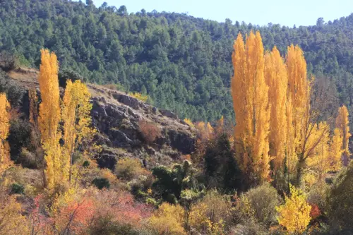 Rios008-Arroyo-de-las-Puentecillas