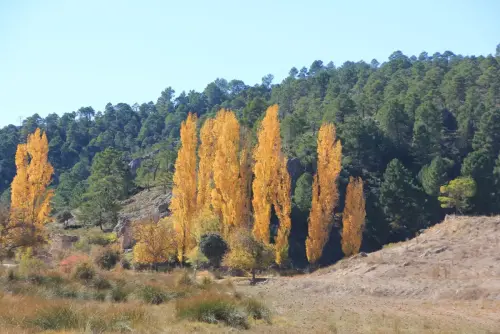 Rios009-Arroyo-de-las-Puentecillas