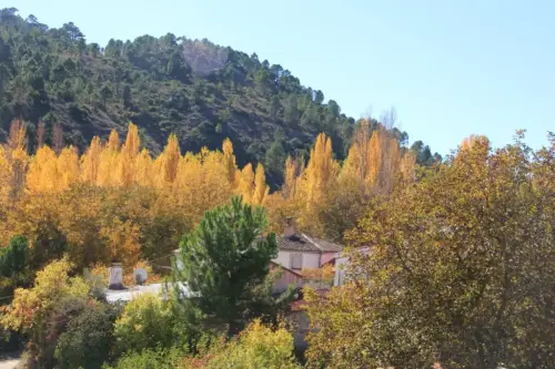 Rios009a-Arroyo-de-las-Puentecillas-Arteaga-de-Arriba