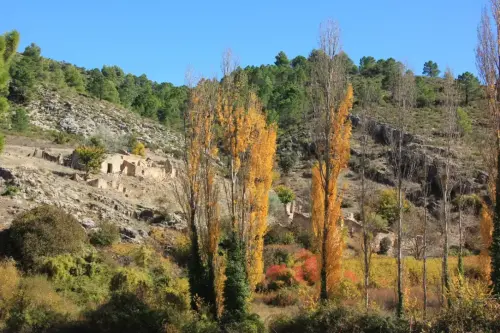 Rios010-Arroyo-de-las-Puentecillas-Arteaga