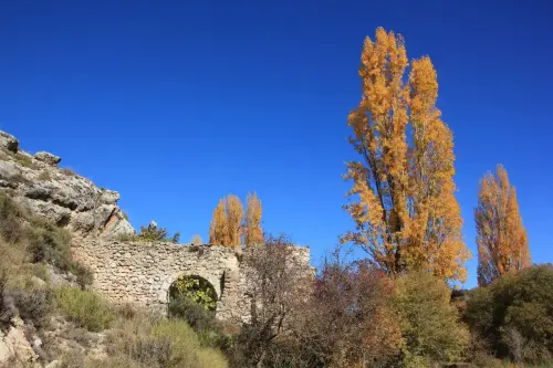 Rios011-Arroyo-de-las-Puentecillas