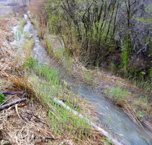 Rios012-Rio-de-Casas-de-Lazaro