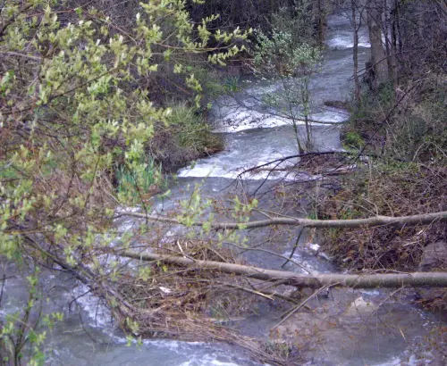 Rios012a-Rio-de-Casas-de-Lazaro