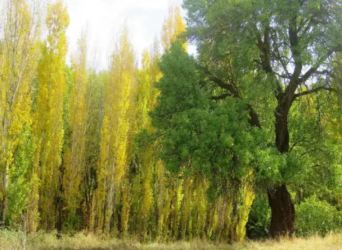 Rios013-Rio-de-Casas-de-Lazaro