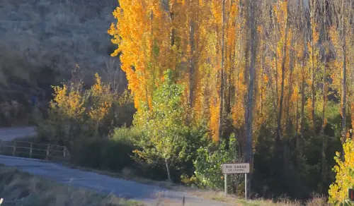 Rios016-Rio-de-Casas-de-Lazaro