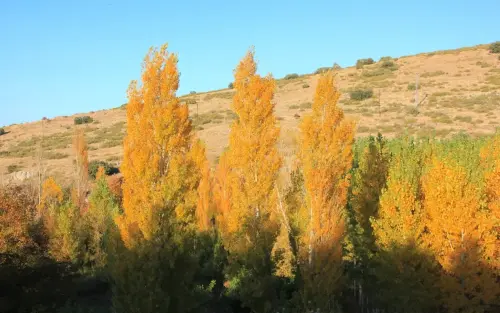 Rios016b-Rio-de-Casas-de-Lazaro-Por-El-BatanCasas-Lazaro