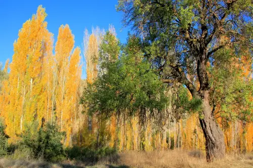 Rios016c-Rio-de-Casas-de-Lazaro