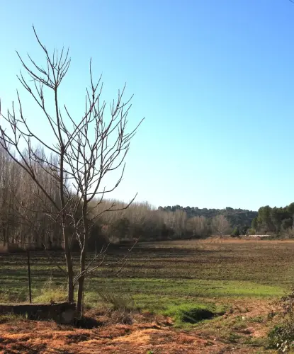 Rios019a-Rio-de-La-Quejola-en-San-Pedro